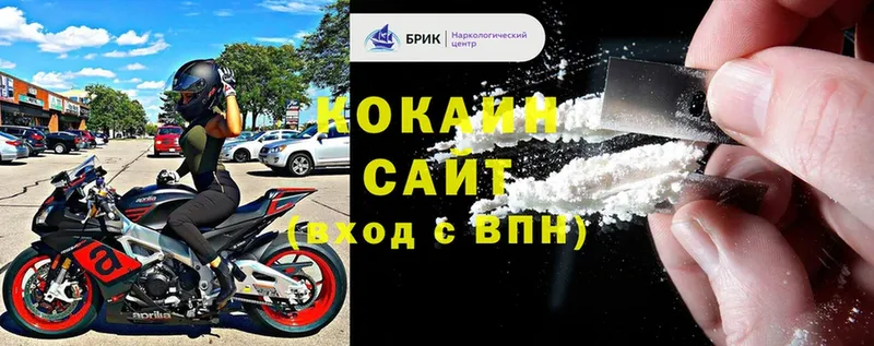 Cocaine Fish Scale  где продают наркотики  Орлов 